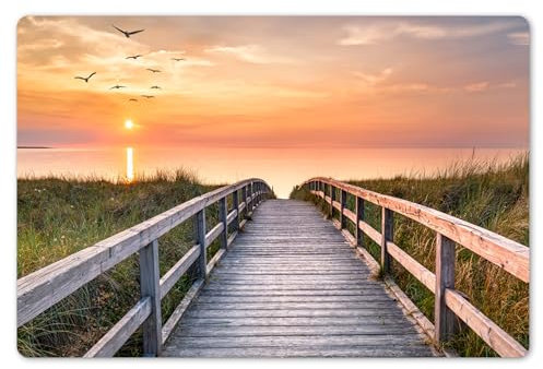 KitchenYeah© Set de Table 6 Pièces 45x30 cm Antidérapant Plastique Original Décoration Table Basse Rigide Tapis Coucher De Soleil - Mer - Chemin - Herbe - Dune - Oiseaux