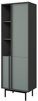 Mirjan24 Standregal Agova 3D WK03 – Bücherregal mit 3 Türen, 3 Regalen und 5 Einlegeböden, Bücherschrank, Aufbewahrungregal (Anthrazit/Aloe)