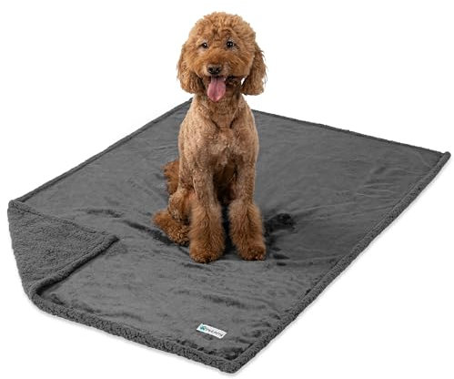 PetAmi wasserdichte Hundedecke für mittelgroße und große Hunde, Welpen, Katzen, Überwurf für Couch, auslaufsicherer Schutz, Sherpa-Fleece, wendbar, weich, waschbar, 152 x 102 cm, Grau