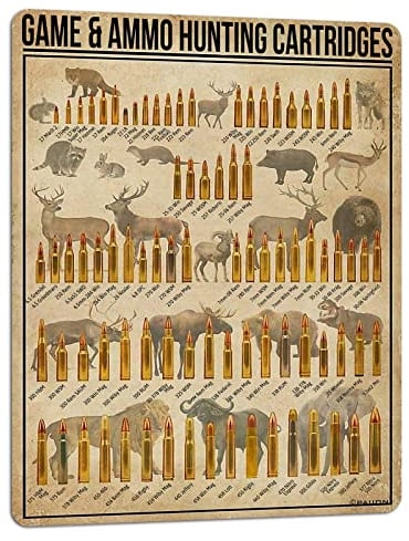 PAIION Game Ammo Jagd Patronen Metallschilder Gedrucktes Wissen Poster Bar Cafe Dekor Home Decor Vintage Wanddeko Clubs 40,6 x 30,5 cm