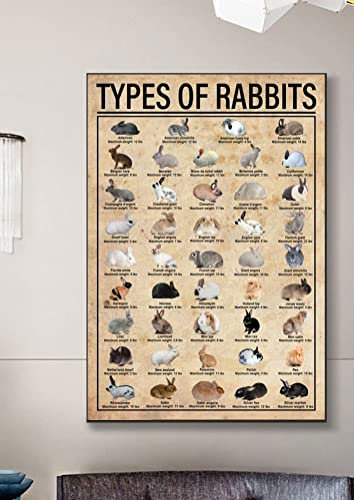 Vintage-Metall-Blechschild, Hasen-Poster, Kaninchen-Poster, Kaninchen-Geschenk, Kaninchen-Illustration, Haustier-Geschenke, Kaninchen-Rassen, Hasen-Poster, Hasen-Druck, Wandposter, Plakette, 14 x 20