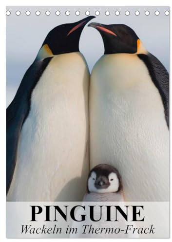 Pinguine - Wackeln im Thermo-Frack (Tischkalender 2026 DIN A5 hoch), CALVENDO Monatskalender: Kaiser- und Königspinguine in ihrem natürlichen Lebensraum (CALVENDO Tiere)