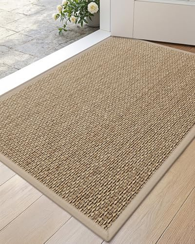 DEXI Front Door Mat Inside Entrance 17x30, Non Slip Entry Doormat with Rubber Backing, Dirt Trapping Low Profile Welcome Mats for Patio Entryway, Beige