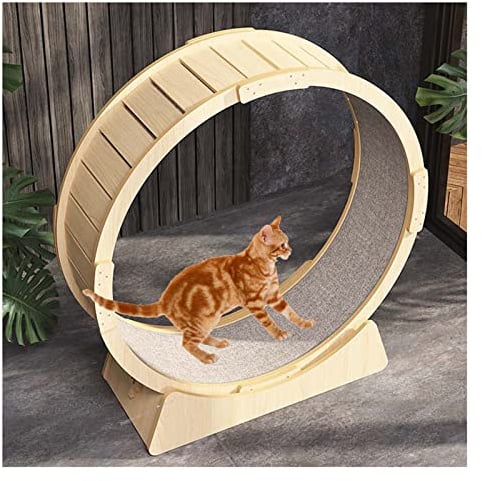 Großes Laufrad für Katzen, 102 cm/40,2 Zoll Laufband für Katzen zur Gewichtsabnahme und täglichen Bewegung - Spaß beim Laufen, Drehen und Kratzen