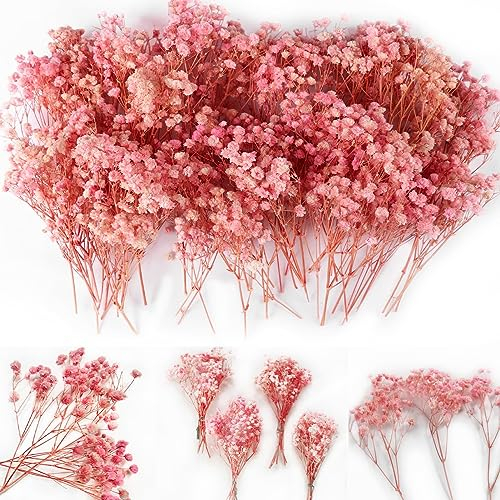 Oning 65 pcs Rosa Schleierkraut Getrocknete, Natürliche Mini Gypsophila Blumensträuße zum Weihnachten Basteln über 4000 Blütenknospe Schleierkraut Strauß für Hochzeits Deko Vasen Hause Grußkarte