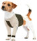 LeLePet Dog Recovery Suit for Front Legs, Dog Surgery Recovery Suit Female Male, Pet Leg Wound Protector After Surgery, Elbow Protector, Front Leg Sleeve to Prevent Licking, Army Green S