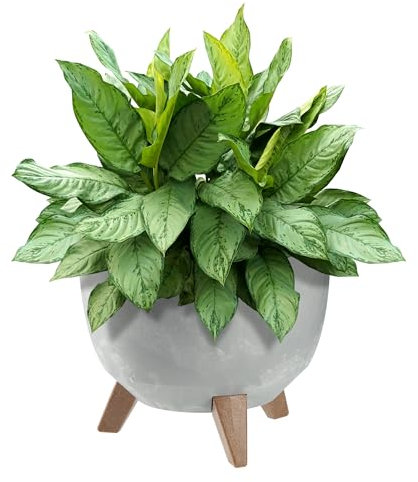 KADAX Pot de Fleurs en Plastique sur Trois Pieds, Effet Bois Élégant pour Sublimer la Décoration de Votre Maison et Jardin, Intérieur et Extérieur (Gris, 29 cm)