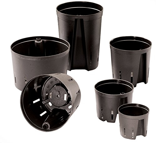 Set 2 teilig für Hydrokultur je 2 Kulturtöpfe Ø 15 cm H 12 cm