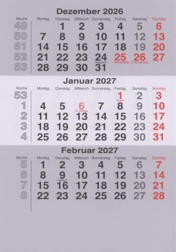 HiCuCo Kalendarium/Ersatzeinlagen für 2 Jahre passend für Tischkalender Vela