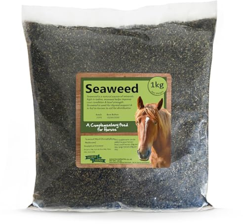 Horse Herbs Seaweed 1kg | 100% Natural Feed Supplement for Horses & Ponies, Equine Care, Kelp