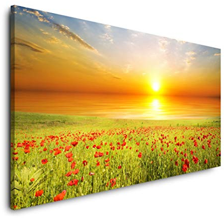 Paul Sinus Art Wandbild 120x60cm Feld mit grünem Grass und roten Mohnblumen