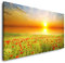 Paul Sinus Art Wandbild 120x60cm Feld mit grünem Grass und roten Mohnblumen
