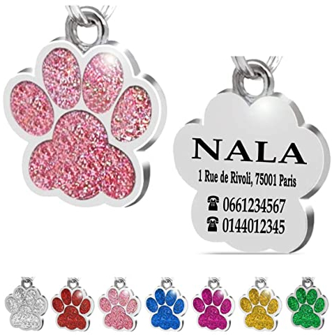 Ibera Gifts - Médaille Chien avec Gravure en Forme de Patte, Médaille pour Animaux de Petite et Moyenne Taille, Médaille Chien Gravée, Médaille Chat avec Gravure (Rose)