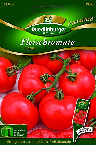 Tomaten Fleisch- Ikarus - Solanum lycopersicon QLB Premium Saatgut Tomaten