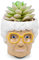 Silver Buffalo The Golden Girls Sophia Face Mini Ceramic Planter With Faux Succulent | 3 Inches