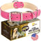 ADITYNA Collier robuste en cuir rose pour chiens de très grande taille - Rembourré doux pour plus de confort - Collier pour grande fille pour la marche, le dressage et la randonnée