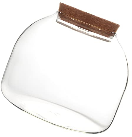 VILLFUL Glass Terrarium Jar with Cork Lid for Indoor Plant Display and Hydroponic Moss Ecosystem Transparent Ecological Bottle Ornament with Led Light for Home Decor