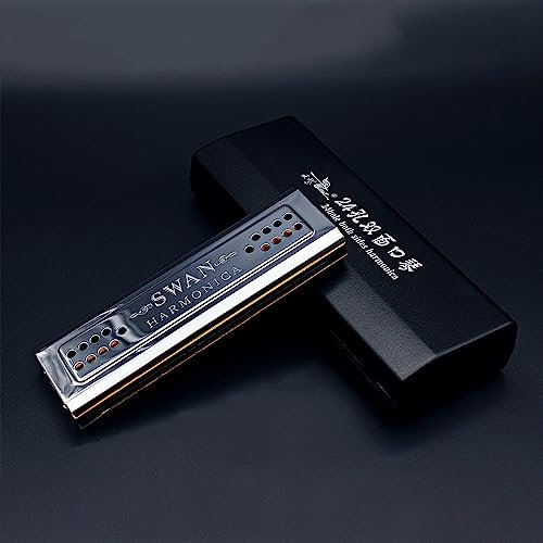Harmonica 2 en 1 Double Face Harmonica Bouche Orgue Dural Clé de C & G 24 Double Trous Instrument à Vent avec Boîte Rembourrée Chiffon de Nettoyage