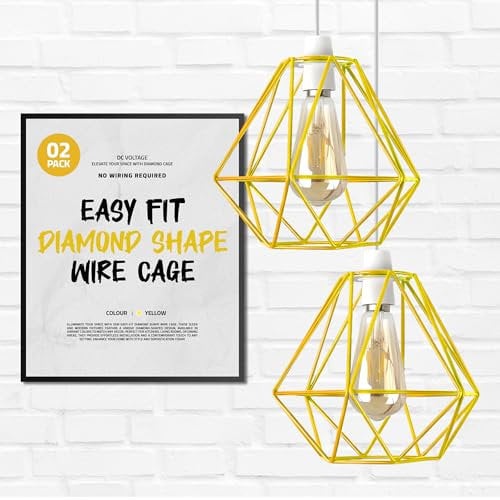 DC VOLTAGE 2 Pack Ceiling Light Wire Basket Metal Basket Pendant Lighting Ceiling Light Shade lamp Shades Ceiling for Indoor Pendant Lights Ceiling Fitting Light fixtures