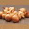FLORTUS Wintersteckzwiebel Stuttgarter Riesen | 500 g | Steckzwiebeln für den Anbau von frischen, goldenen und fleischigen Zwiebeln | Ideal für den Garten und das Hochbeet | Herbst Saatgut
