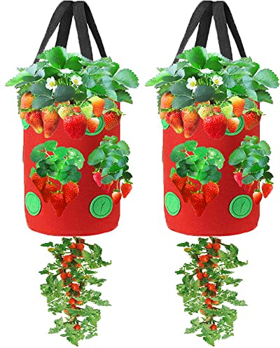 Miewslan 2 Packs Upside Down Planter, Garden Hanging Strawberry Tomato Grow Bag Potato Vegetable Planting Bag with Holes