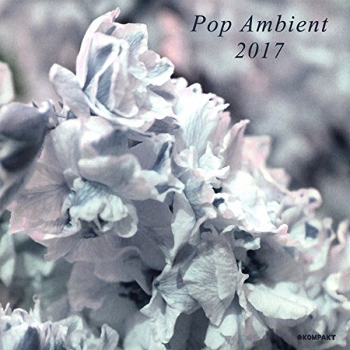 Kompakt (Rough Trade)