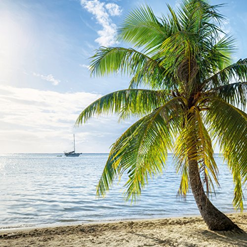 Eurographics Wonderful Palm Glasbild, Glas, Blau, 30 x 30 x 2 cm