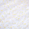 BENECREAT 4 Yard Gänseblümchen Blumen Print Stoff, 2 m Breit Weißes Tüll-Spitzenband Für Hochzeitskleid, Rock, DIY, Nähen, Dekorationen, Bastelbedarf