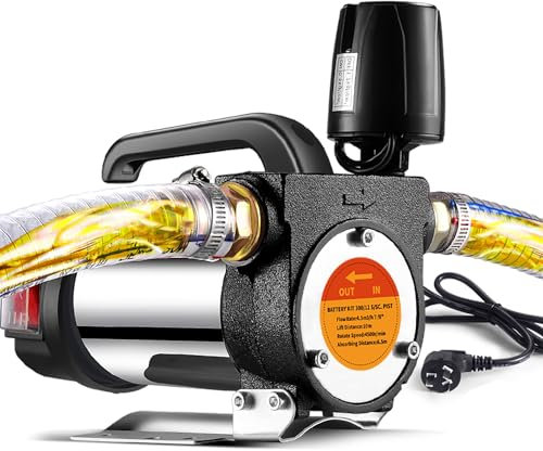 220V Pompa Diesel Elettrica Pompa Gasolio Pompa di Trasferimento 60L/min Pompa Carburante Autoadescante Elettrica Pompa Aspirazione con Tubo flessibile da 6M
