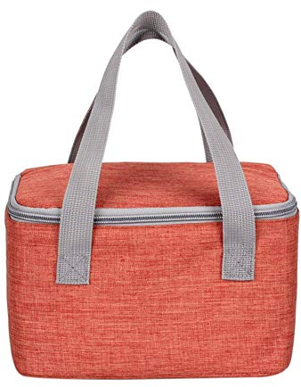 Panlom® 6 Can/4 L Small Cool Bag Handy Square Lunch Bag Insulated Lunch Box for Adults Work Day Trip