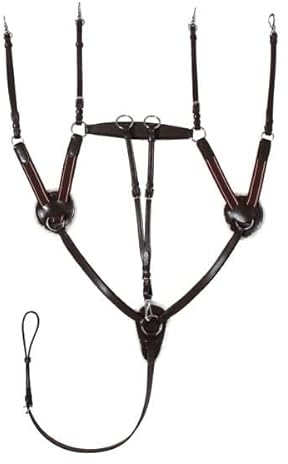 Start Vorderzeug Leder 5-Punkt-Vergurtung mit Martingal Pferd, Elastisch Ledervorderzeug Leder einstellbar, Warmblut, Vollblut, Kaltblut (Pony, Braun)