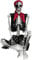SIFOEL Halloween-Skelett 165cm realistische Lebensgröße posable menschliche Skelett Knochen mit beweglichen Gelenken für Halloween Spukhaus Dekoration (2)