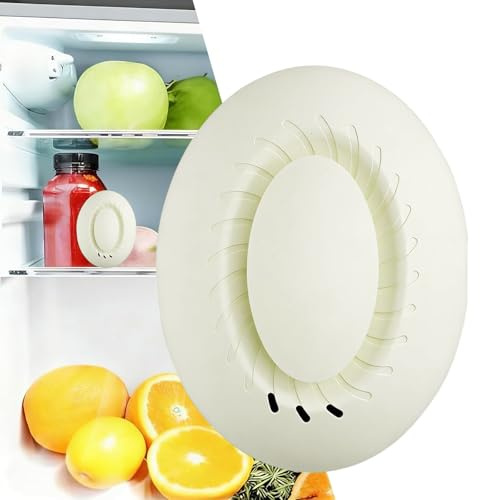 Rechargeable Refrigerator Deodorizer with Built-in Aromatherapy Case, 3-Speed Air Freshener, 4-in-1 Odor Remover for Closets, Cars and Pet Areas, Reusable & More Efficient Than Baking Soda