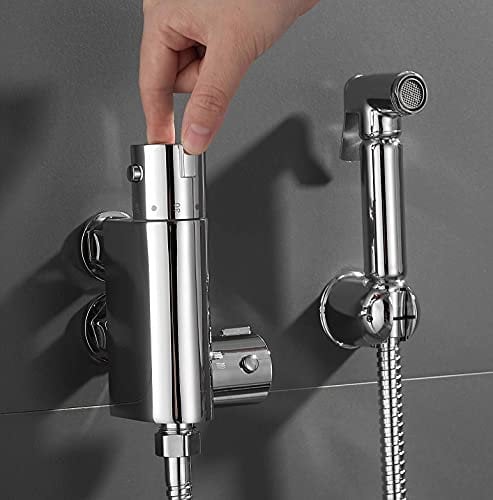 Elegant Brass Thermostatic Mixer Bidet Shower Toilet Spray Handheld Bidet Douche Kit Wall Mounted 1/2 Hot & Cold Connectors