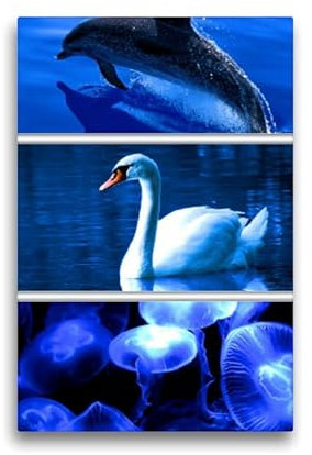 CALVENDO Premium Textil-Leinwand 30 x 45 cm Hochformat Premium Textil-Leinwand 30 cm x 45 cm hoch Deep Water | Wandbild, HD-Bild auf Keilrahmen, Wanddekoration, Kunstdruck von Renate Utz