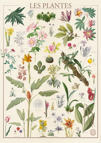 Nathan - Puzzle 1500 Teile - Pflanzen - Nationalmuseum für Naturgeschichte - Erwachsene und Kinder ab 14 Jahren - Premium Puzzle - Nostalgie Collection - 12000931