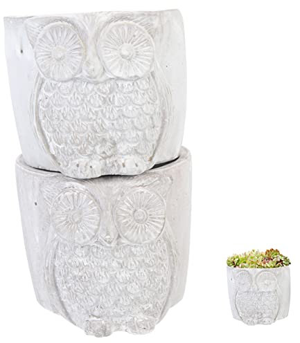 Yardenfun Ensemble De Pots De Fleurs en Ciment Minimalistes Motif Hibou pour Décoration De Jardin Intérieur/extérieur