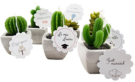 natidea - set Candele Piantine 6 pz + Etichette (Pianta Grassa Mix 98205)