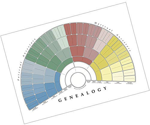 Queen.Y Familien-Genealogie-Baum-Diagramm Genealogie-Wandplakat Leer Ausfüllbares Ahnen-Diagramm Familiengeschichte-Anzeige-Diagramm