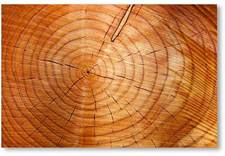 Postereck - 1757 - Holz Querschnitt, Natur Baum Ringe Muster Braun - Wandposter Fotoposter Bilder Wandbild Wandbilder - Leinwand - 60,0 cm x 40,0 cm