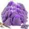Lavendel Duftsäckchen für Kleiderschränke 24 Lavendelsäckchen, 120g Lavendelblüten, Effektiver Mottenschutz für Kleiderschränke mit lang anhaltender Frische, Kleidung, Auto & Zimmer