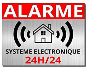 Aufkleber Alarmanlage Videoüberwachung rund um die Uhr – Stil Alarm – Set mit 8 Aufklebern zur Abschreckung in Metalloptik | Sicherheit für Haus, Garage, Gewerbe, Fenster & Türen | UV-beständig