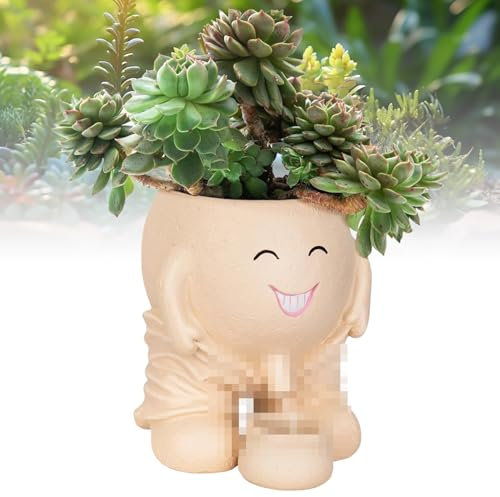 pot de fleurs avec visage, Pot Fleur Balançoire, Pots de Succulentes Visage Souriant, Pots de Jardinière de Visage de Sourire, Smile Face Pot de fleurs succulentes, pour D'intérieur et D'extérieur (D)