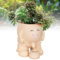 pot de fleurs avec visage, Pot Fleur Balançoire, Pots de Succulentes Visage Souriant, Pots de Jardinière de Visage de Sourire, Smile Face Pot de fleurs succulentes, pour D'intérieur et D'extérieur (D)