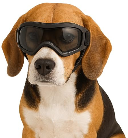 Fohuanky Lunettes de soleil réglables pour chiens de petite et moyenne races avec protection UV pour chien, pour voyage, randonnée, plaisir en plein air (noir, taille M)