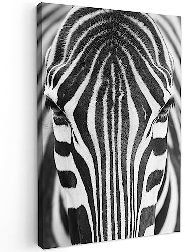 MuchoWow© Bilder 40x60 cm Wohnzimmer Deko Modern Wandbild Foto auf Leinwand Bild Schlafzimmer Room Decor Geschenke Schwarzweiss - Weiss - Zebra - Tiere - Schwarz und Weiß - Porträt