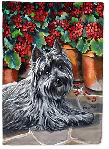 Caroline's Treasures PPP3052CHF - Bandera de geranios de Cairn Terrier, tamaño de casa, multicolor