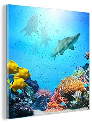 MuchoWow Glasbild Glasfoto Wandbild Bilder Deko 20x20 cm Meer - Fische - Farben