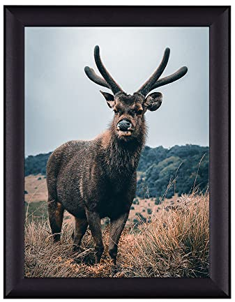 Rahmendesign24 Posterrahmen Fiona 70x100 Schwarz (matt) Fotorahmen, Wechselrahmen, Bilderrahmen