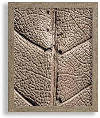 VO design Finn Premium Bilderrahmen Posterrahmen 60x120 cm Apfel Apfelbaum Dekor 120x60 cm mit weisser Rückwand und klarem Acrylglas